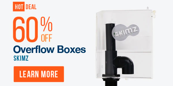 HOT DEAL: Skimz 60% off Overflow Boxes. Learn More